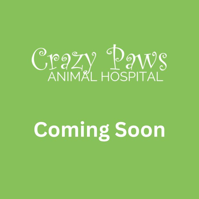 Coming Soon Coming Soon